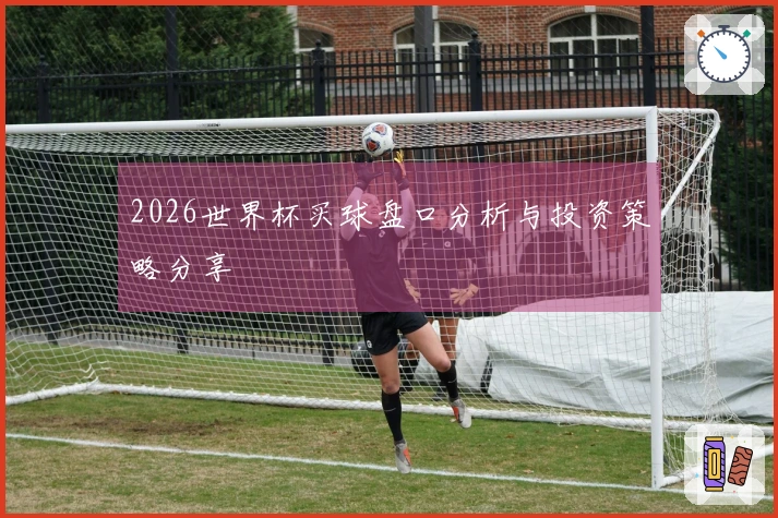 2026世界杯买球盘口分析与投资策略分享