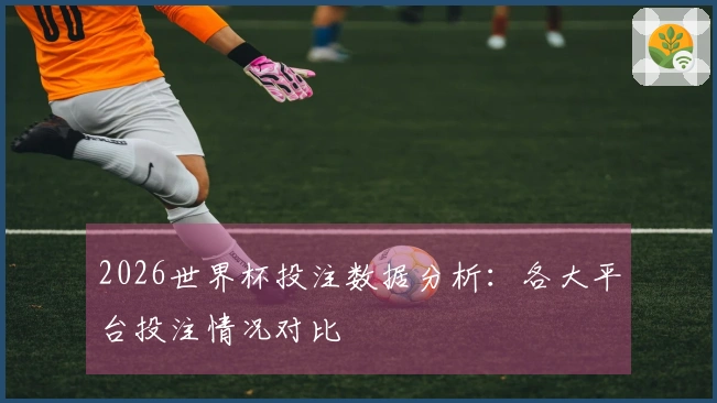 2026世界杯投注数据分析：各大平台投注情况对比