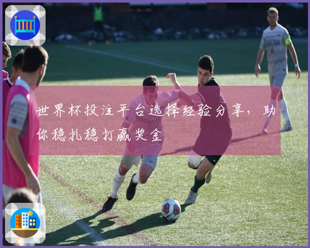 世界杯投注平台选择经验分享，助你稳扎稳打赢奖金