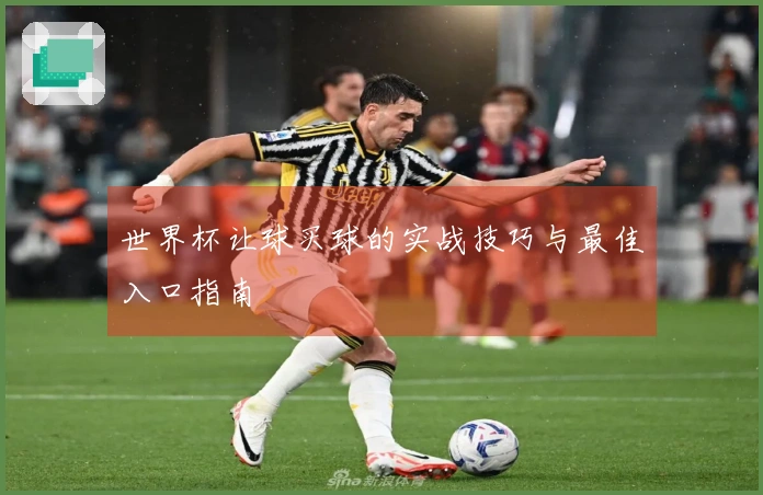 世界杯让球买球的实战技巧与最佳入口指南