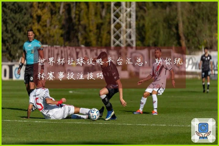 世界杯让球攻略平台汇总，助你玩转赛事投注技巧