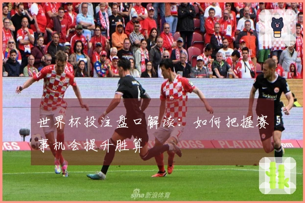 世界杯投注盘口解读：如何把握赛事机会提升胜算